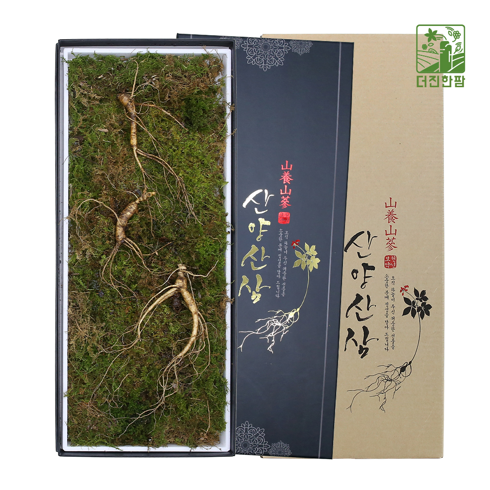 [더진한팜] 기운내삼 10년근 산양산삼 3뿌리 (전용 지함케이스 포장)