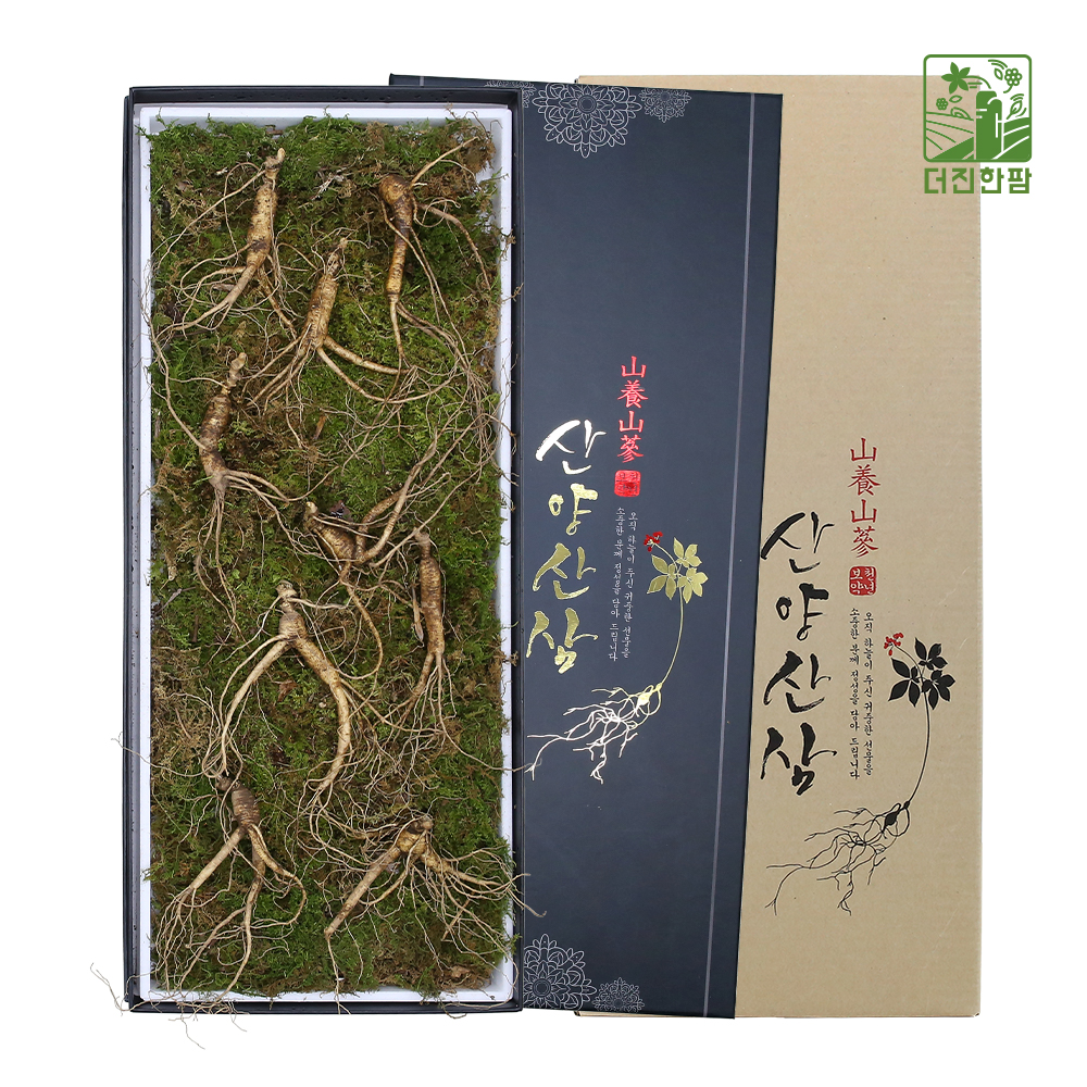 [더진한팜] 기운내삼 10년근 산양산삼 9뿌리 (전용 지함케이스 포장)