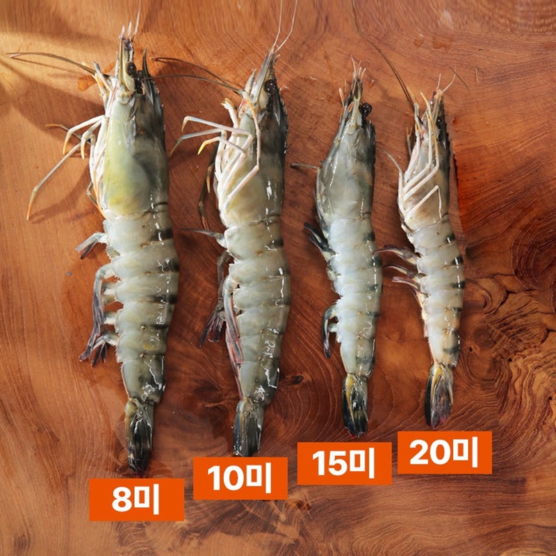 면세[맛투데이] 블랙타이거 새우 500g (15미)