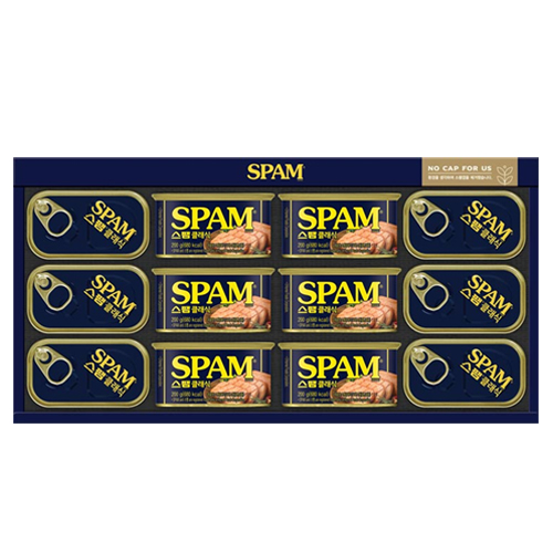 S 스팸 HW호